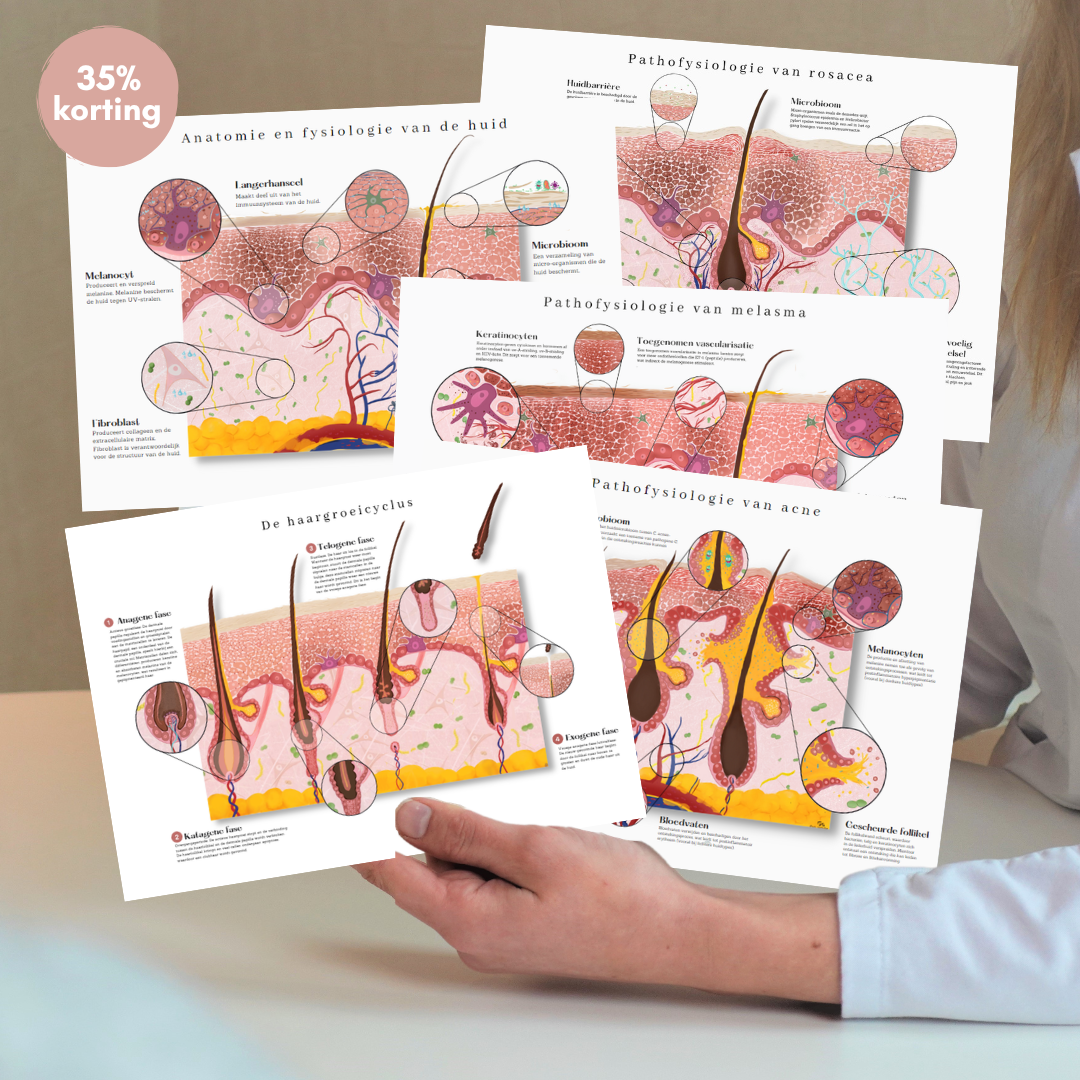 Bundel 5 huidkaarten: melasma, rosacea, acne, anatomie en fysiologie van de huid en de haargroeicyclus