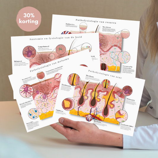 Bundel: melasma, rosacea, acne en fysiologie van de huid