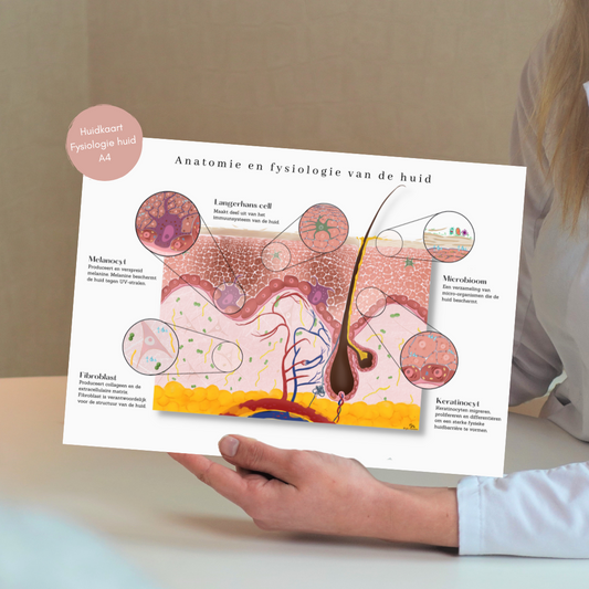 Anatomie en fysiologie huidkaart: gedetailleerde anatomie fysiologie - educatief hulpmiddel